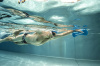 Swimaholic Pull Buoy
