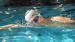 Plavalna očala Swimaholic Elbe Swim Goggles